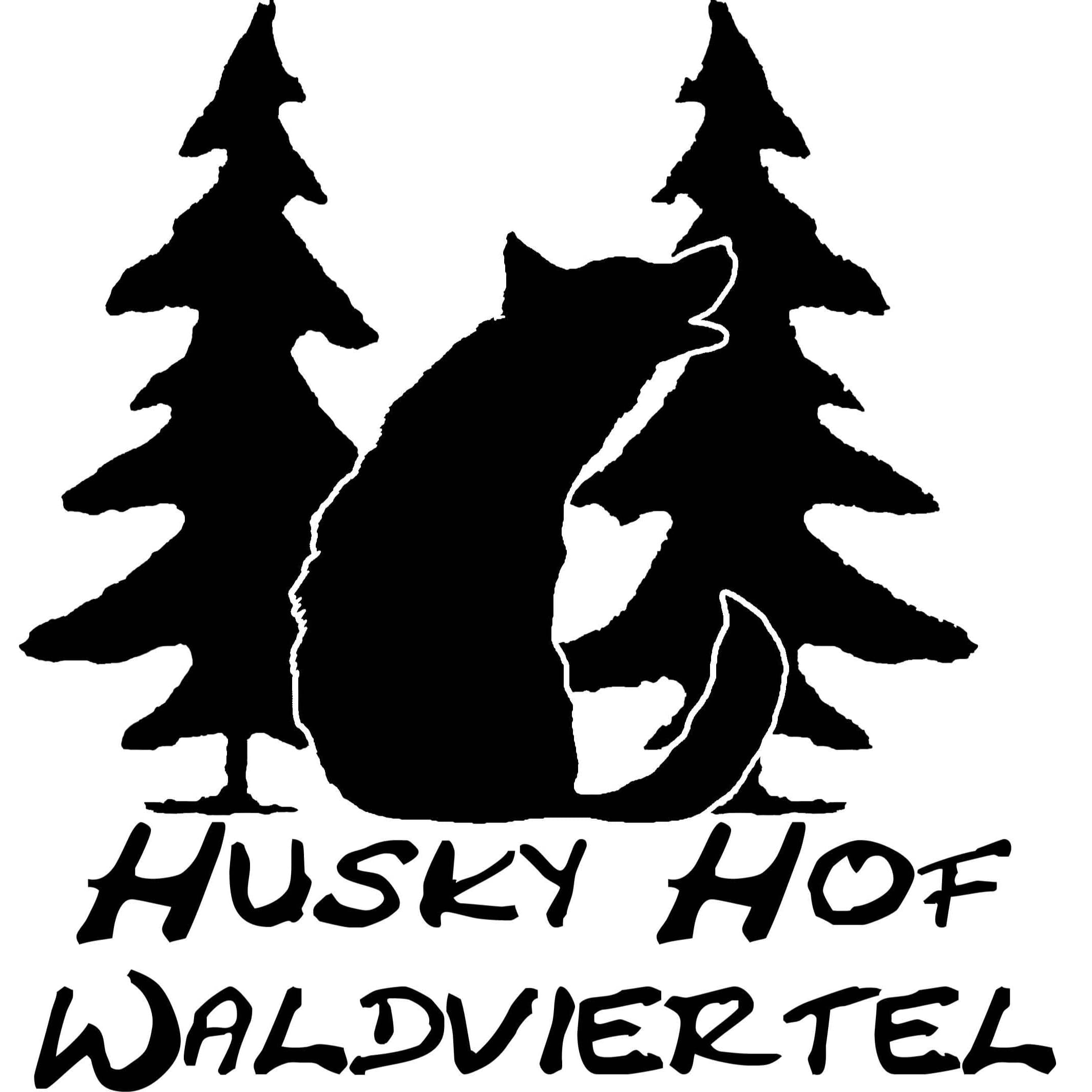 Company image