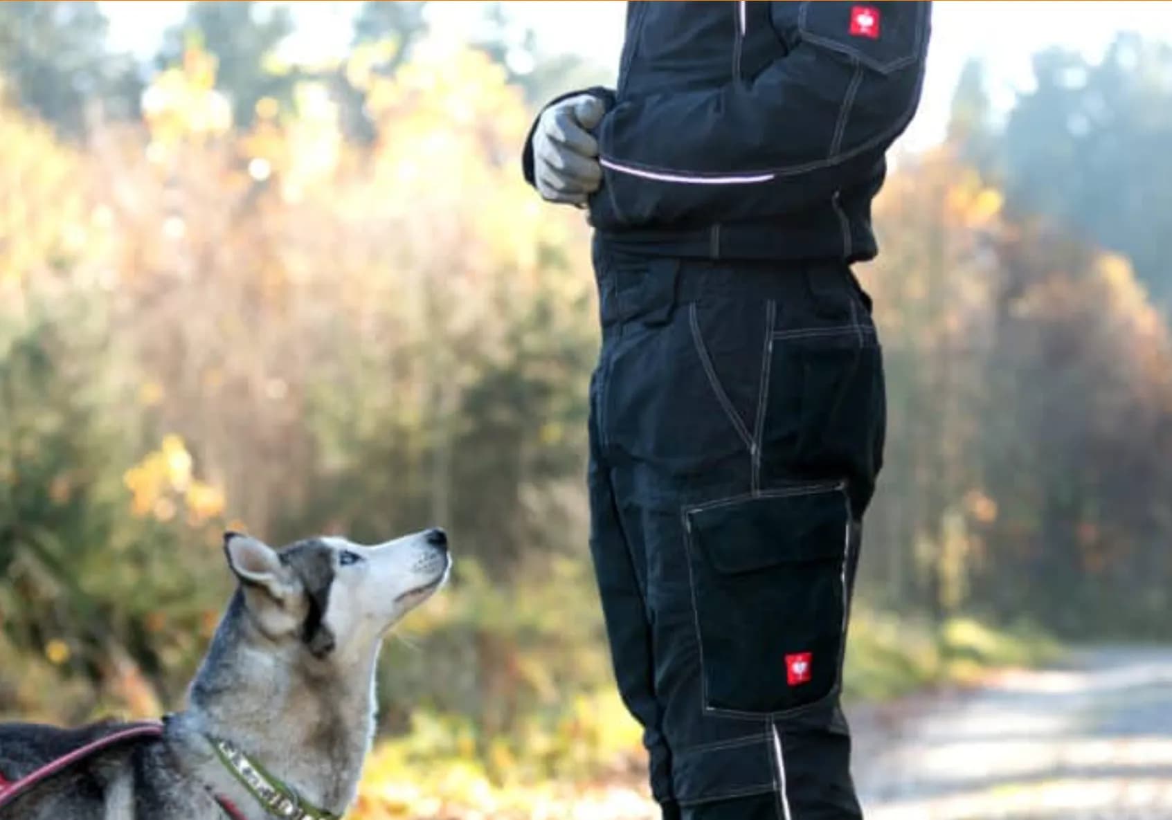 Dog-Coaching Hundetraining im Waldviertel