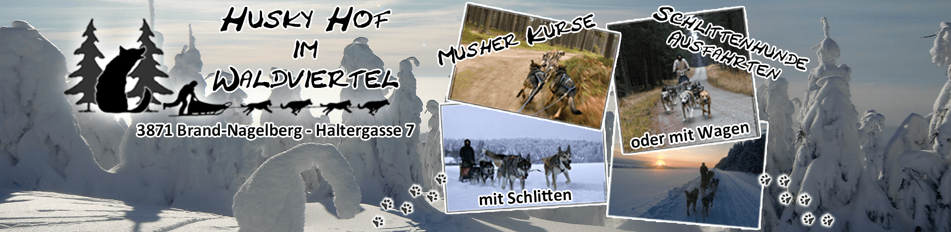 Huskyhof-Waldviertel