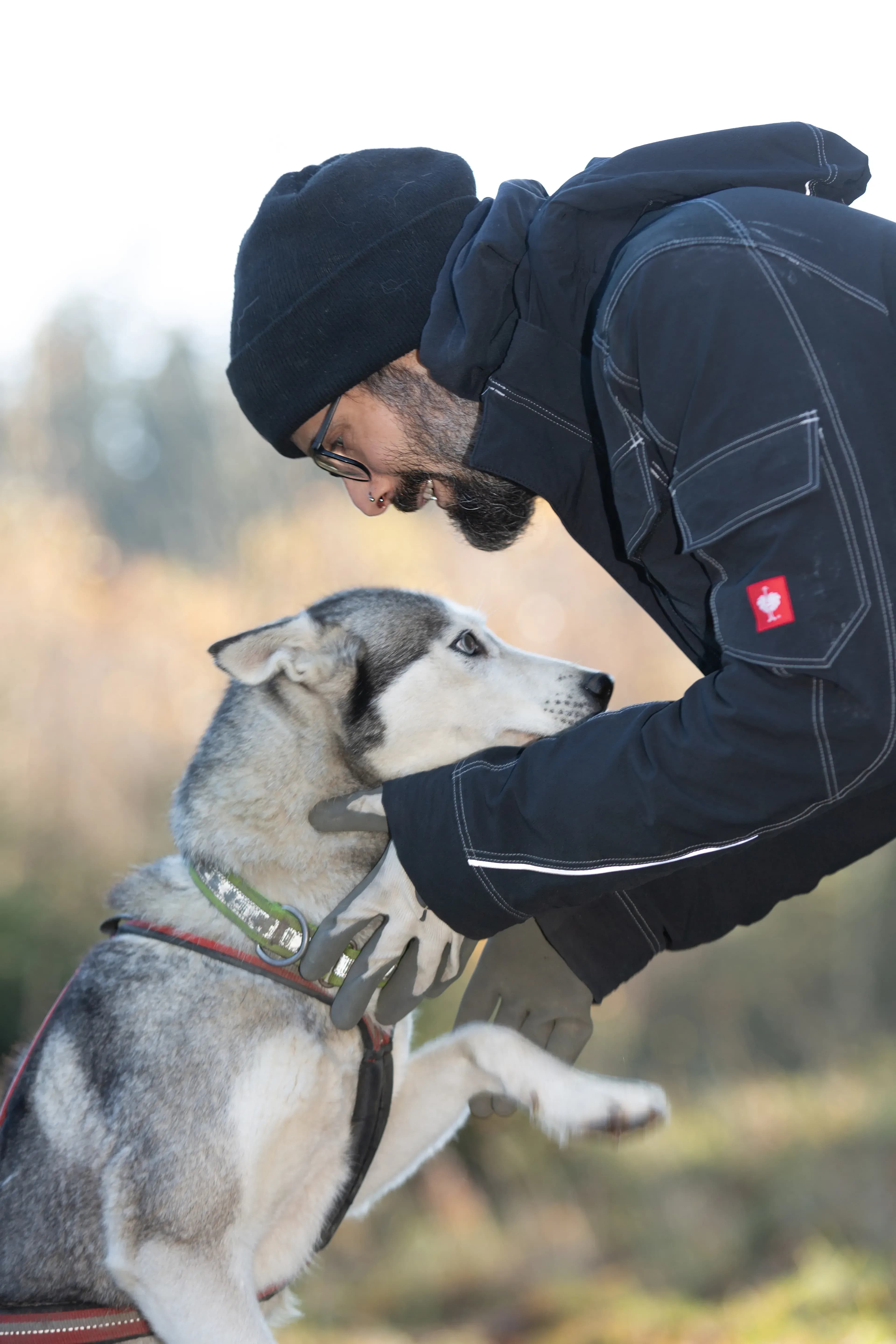 Husky Waldviertel - Polarlicht, Nordlichter und der Urlaub in Lappland