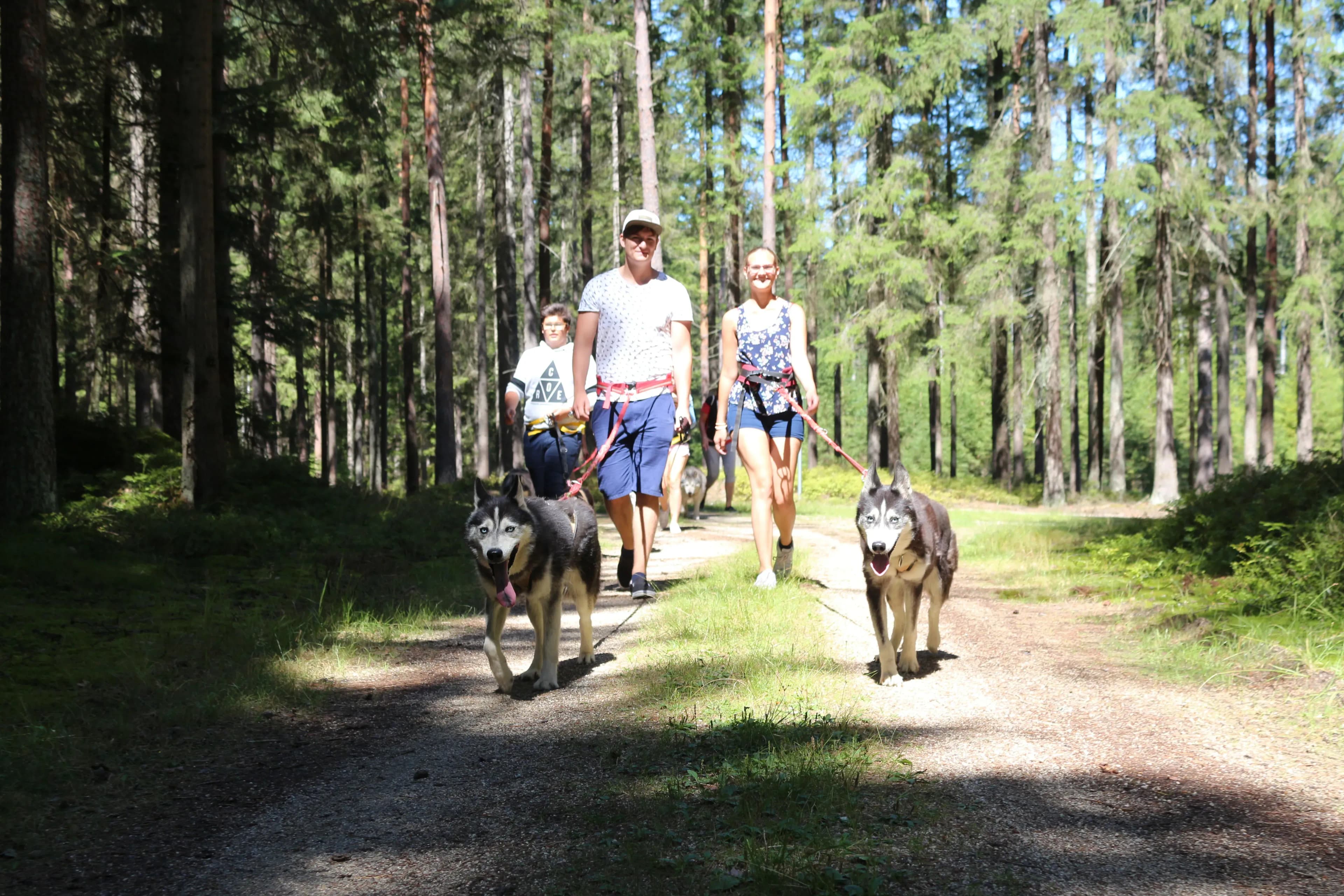 Wandern im Waldviertel mit Huskys